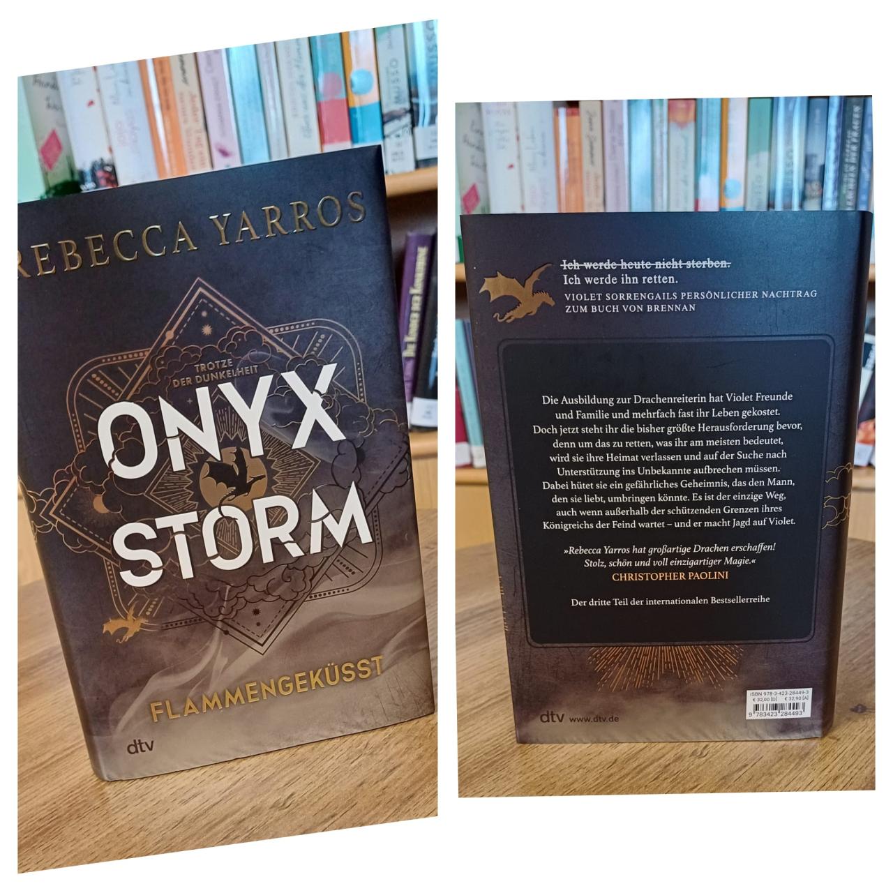 Buch Onyx Storm
