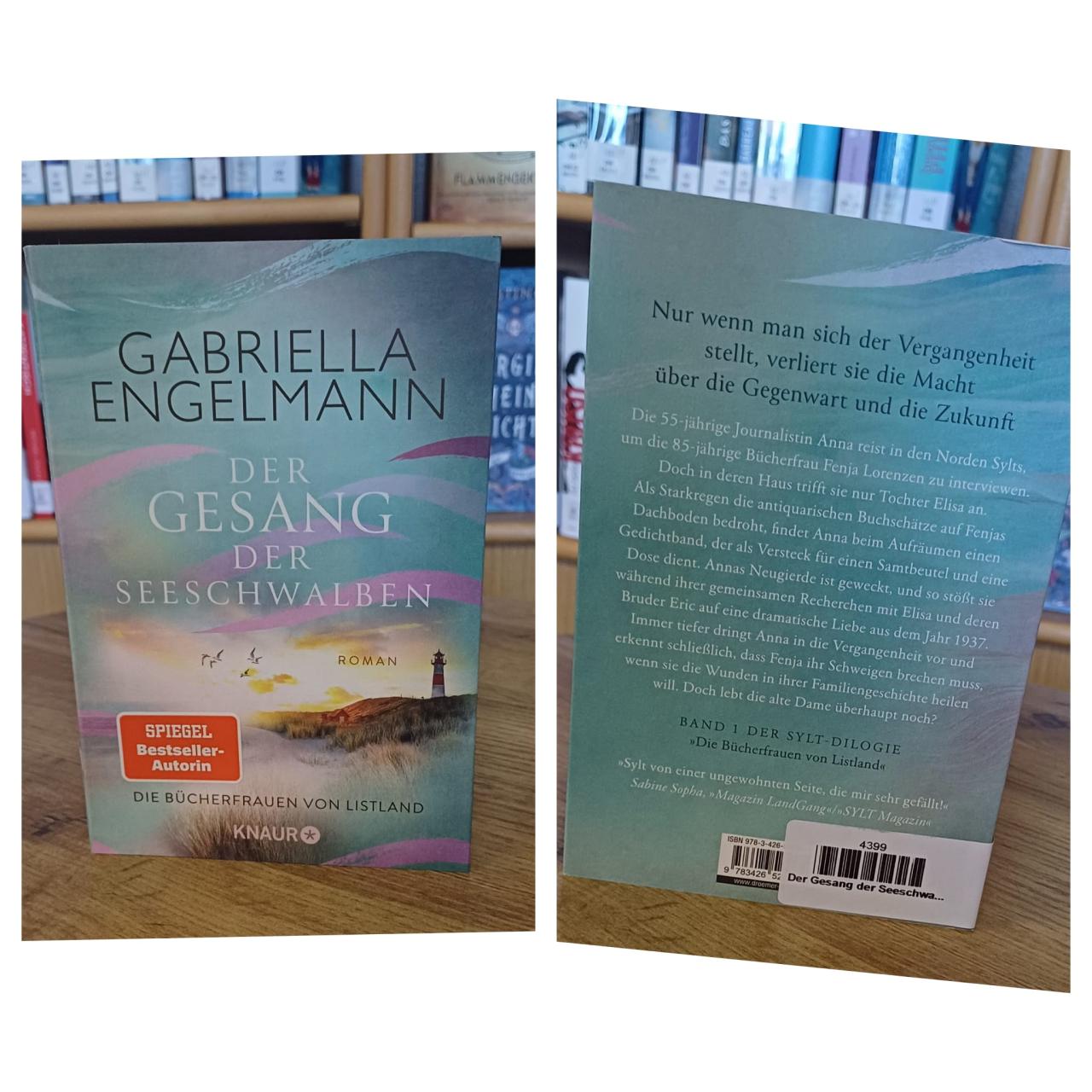 Buch Der Gesang der Seeschwalben