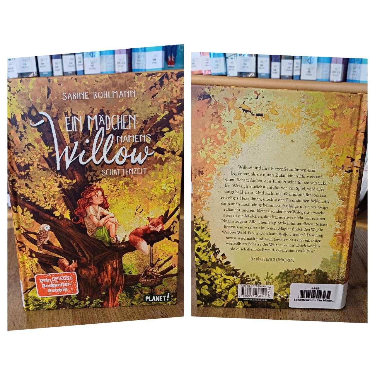 Buch Ein Mädchen Namens Willow - Schattenzeit