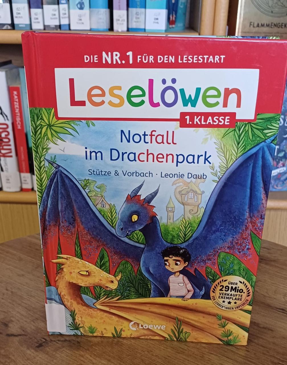 Buch Notfall im Drachenpark