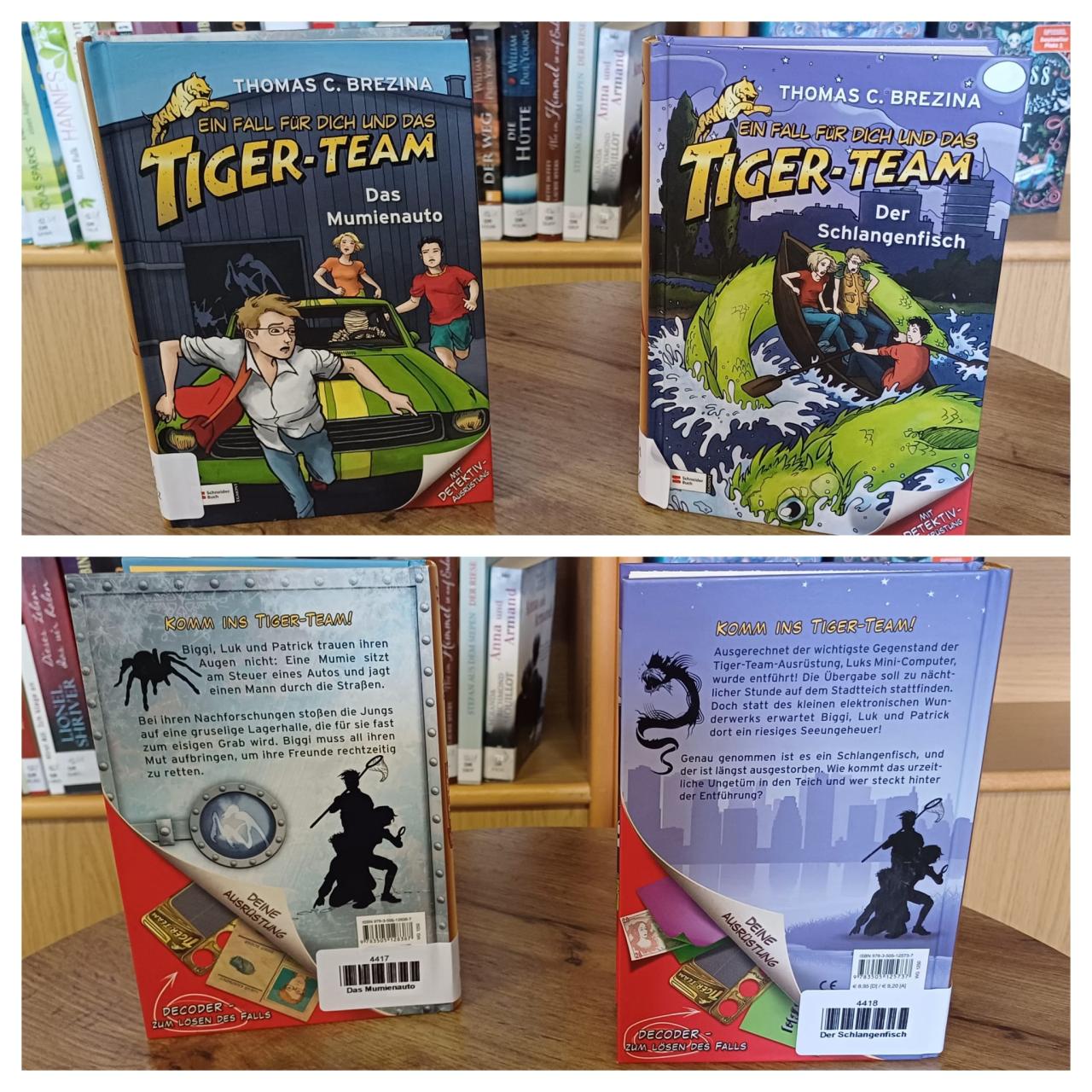 Buch Tiger-Team