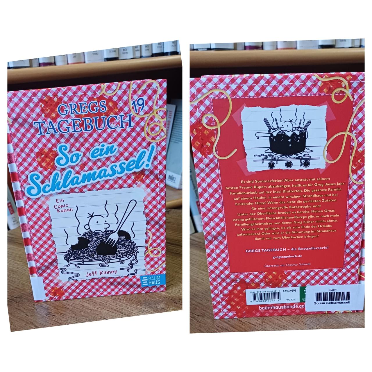 Buch Gregs Tagebuch 19