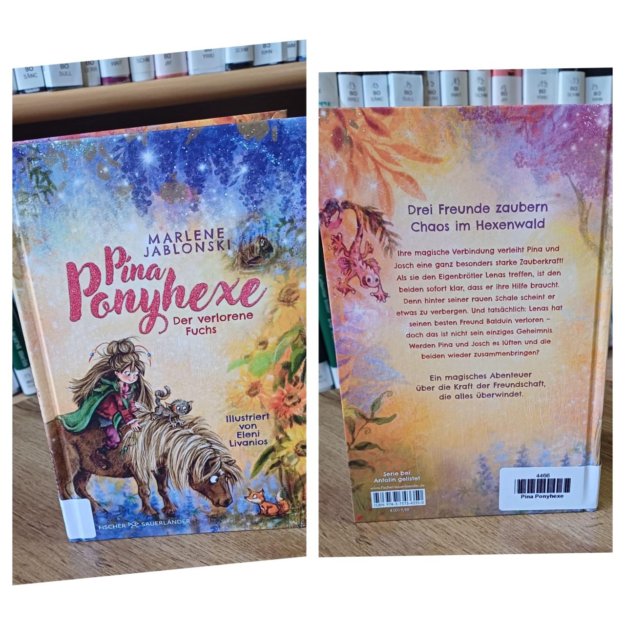 Buch Pina Ponyhexe