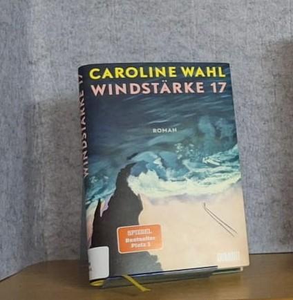 Buch Windstärke 17