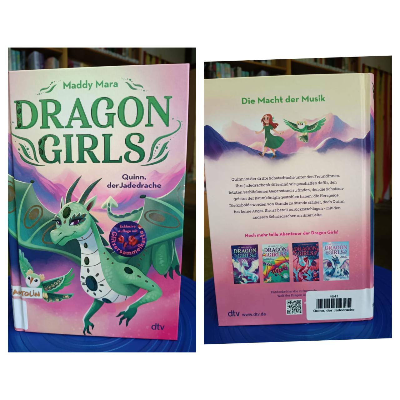Buch Dragon Girls Quinn