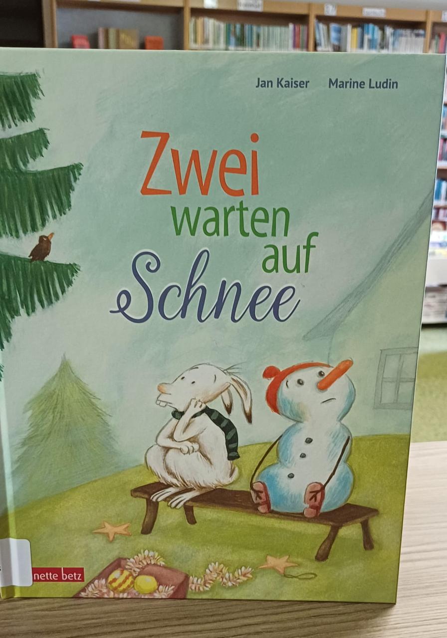 Buch Zwei warten auf Schnee