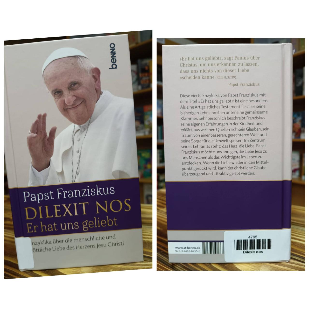 Buch Papst Franziskus