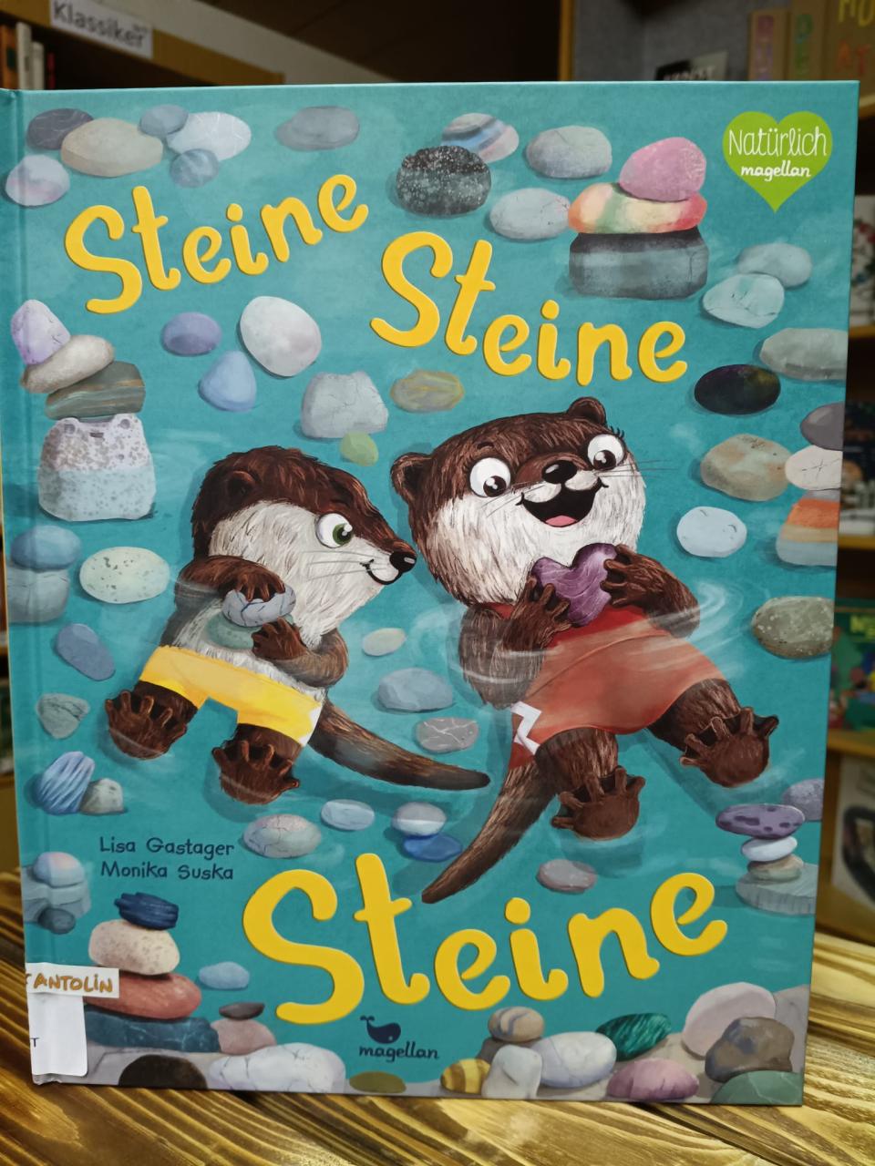 Buch Steine, Steine