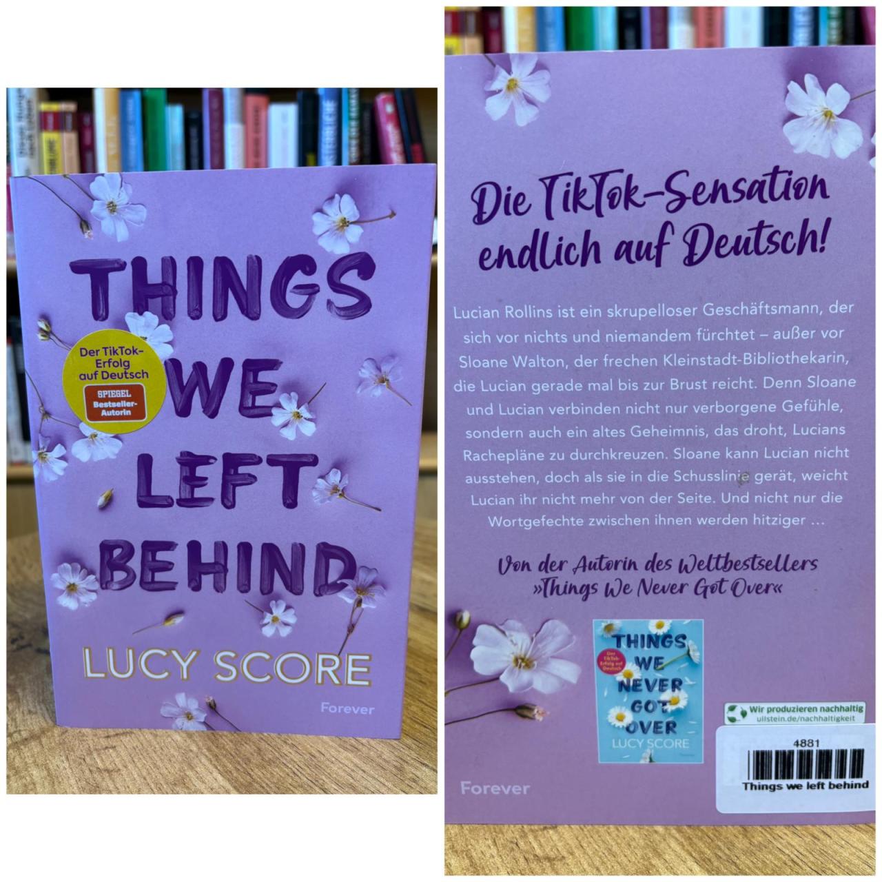 Buch Things we left behind